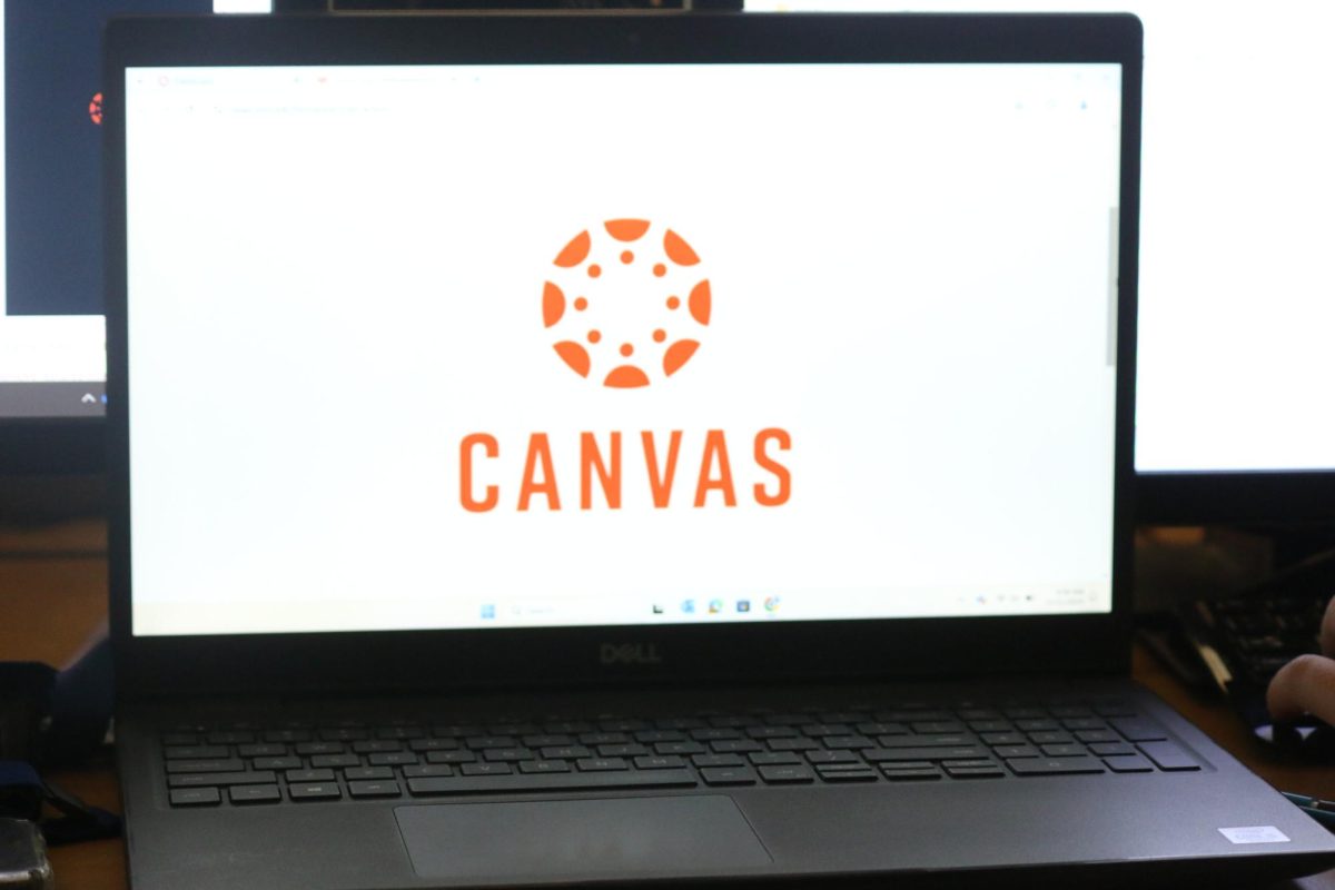 Canvas Conundrum