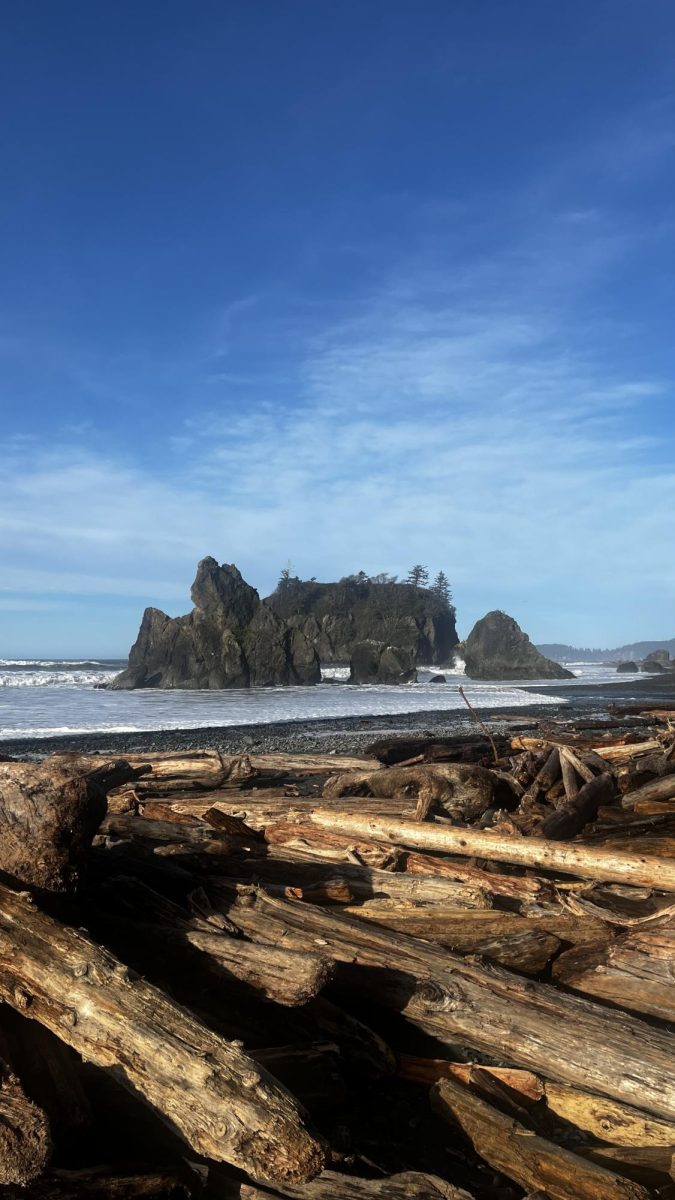 Traveling Through The Olympic Peninsula